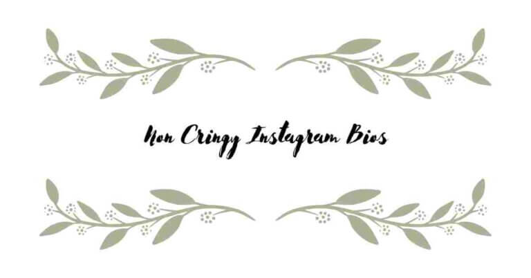 Non Cringy Instagram Bios