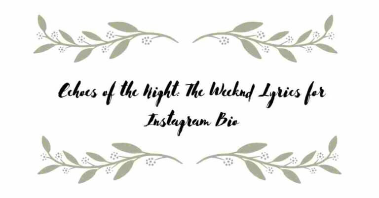 Echoes of the Night: The Weeknd Lyrics for Instagram Bio